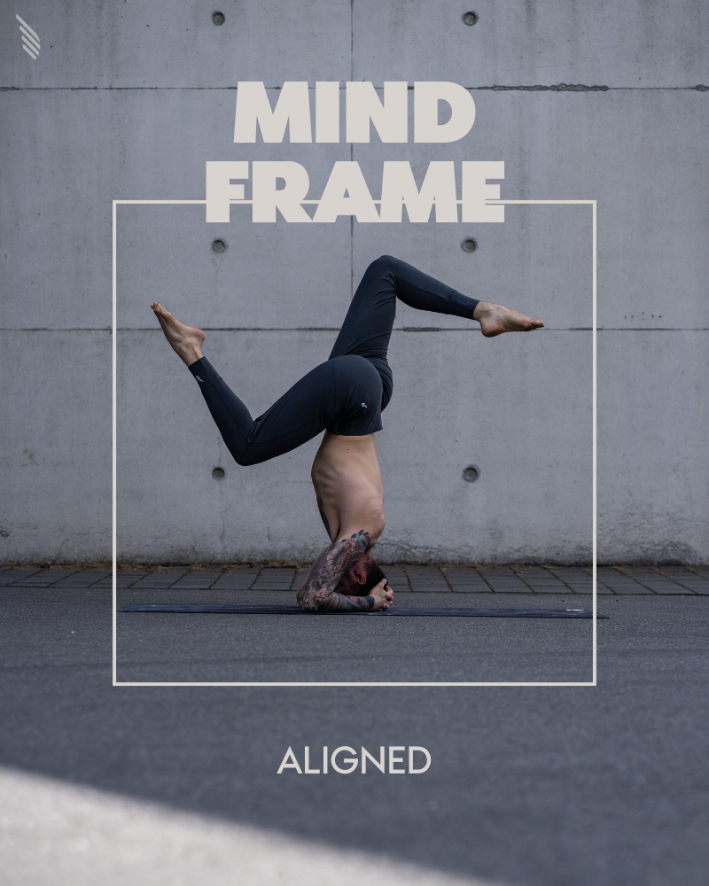 "TRUELY ALIGNED" - SO SCHAFFST DU ES!