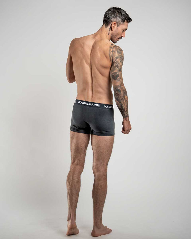[new] boxer shorts HADES | gray (pack of 2)